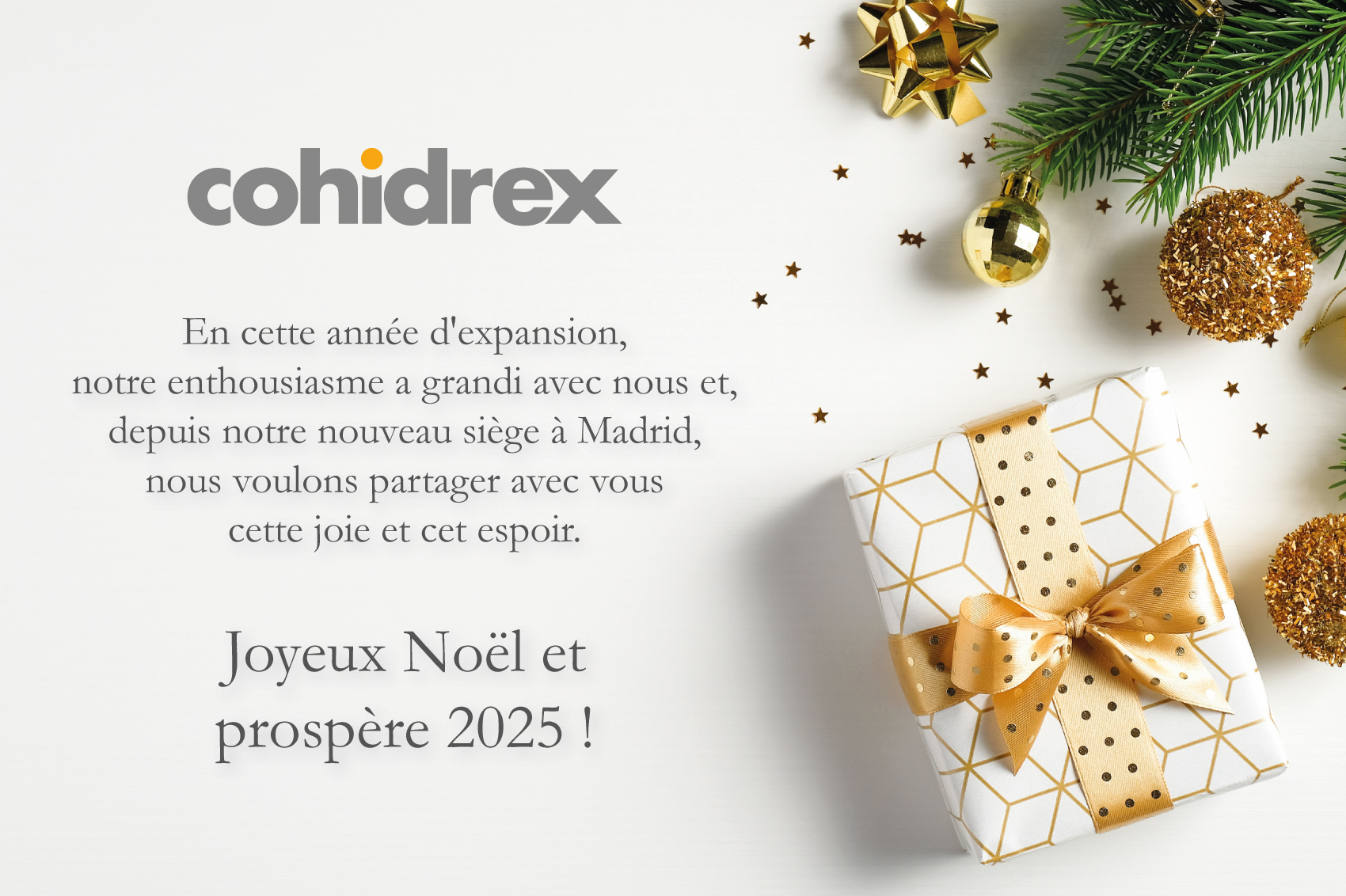 Cohidrex vous souhaite de Joyeuses Fêtes ! fr